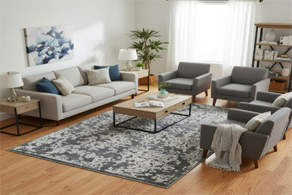 Area Rugs for the Living Room